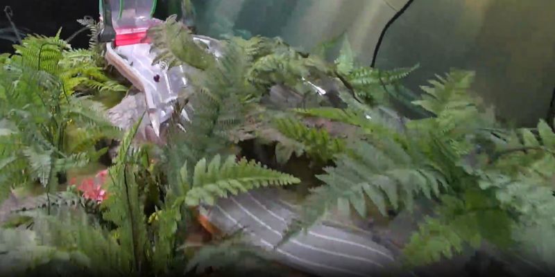 Những đường đua bi nổi tiếng có tác động đáng kể đến cộng đồng đua bi