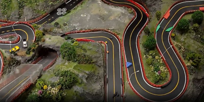 tong-quan-loai-hinh-dinh-dang-dua-bi