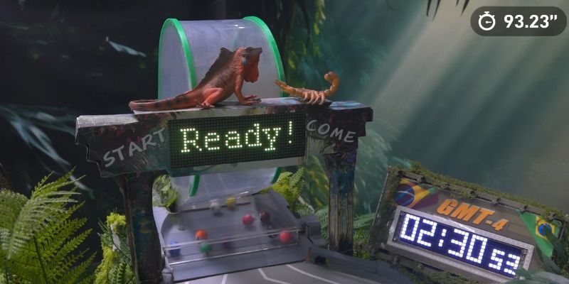 An image of Watching epic marble races